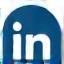 Ícone LinkedIn